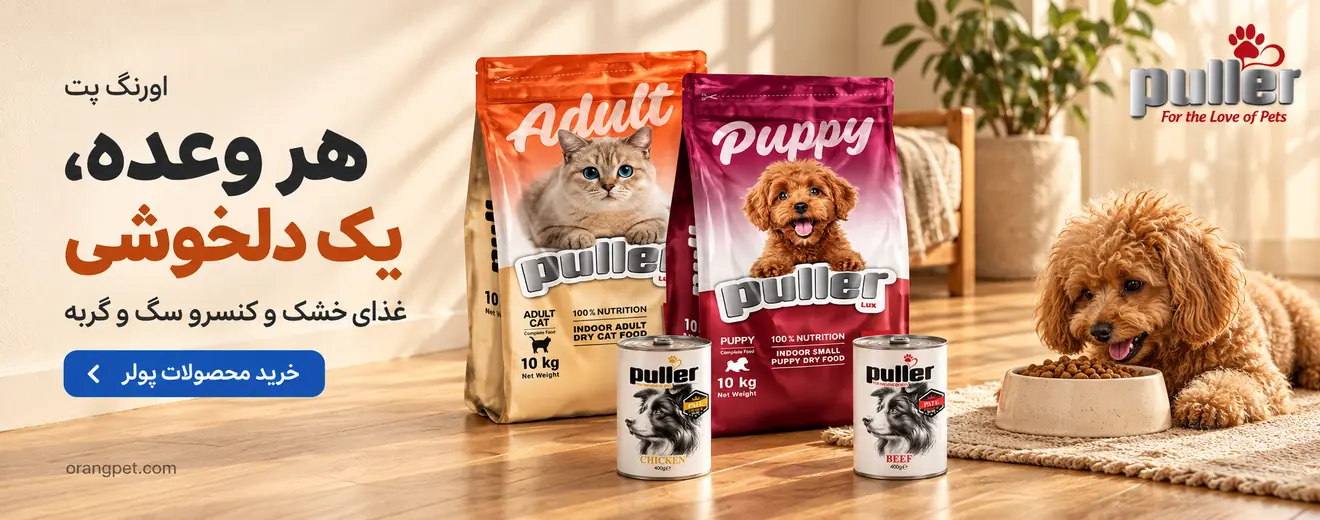 orangpet-puller-home-1320×520