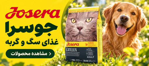 جوسرا