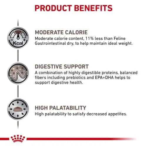 غذای خشک گربه رویال کنین مدل Gastr Moderate Calorie