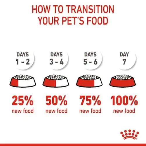غذای خشک توله سگ رویال کنین مدل Medium Puppy