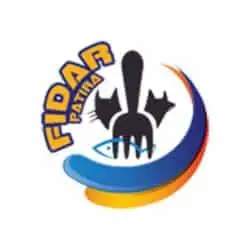 فیدار