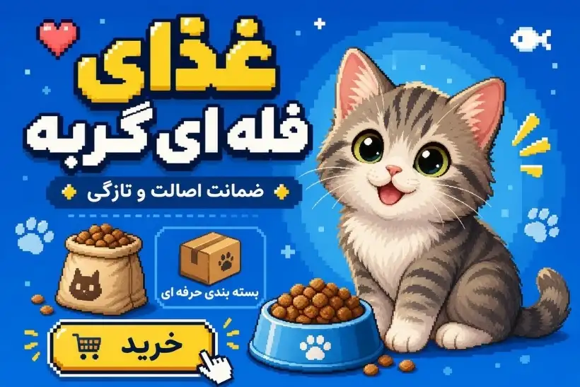 غذای فله ای گربه