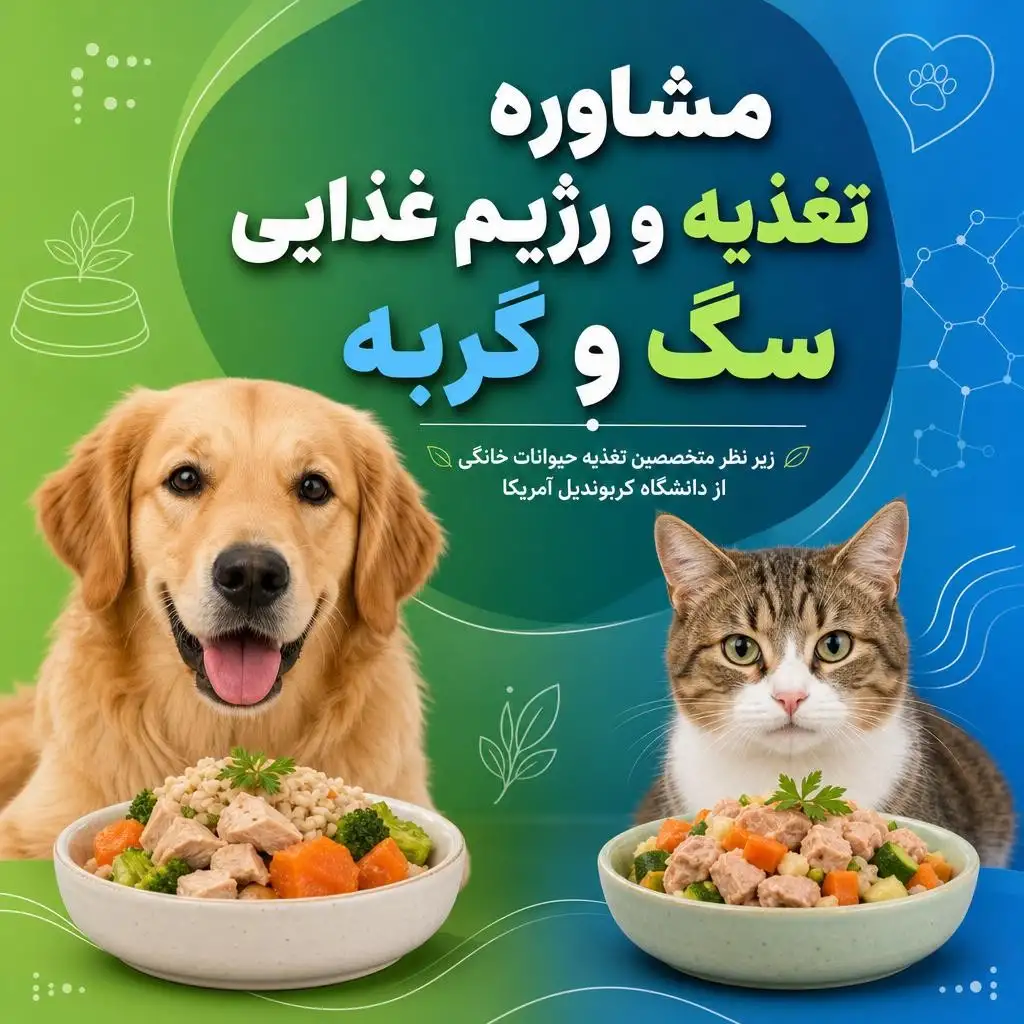 مشاوره تغذیه سگ و گربه