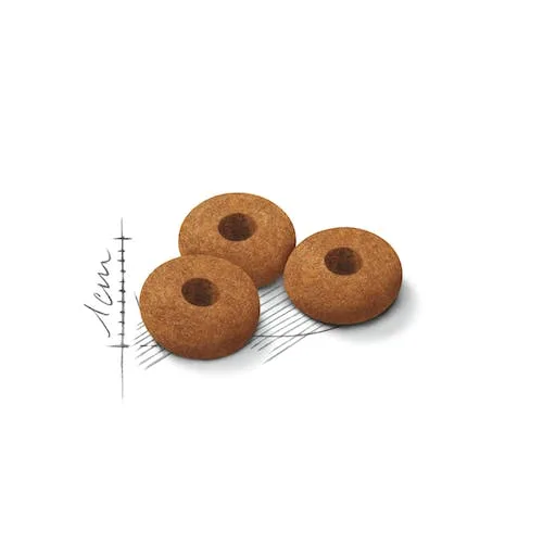 غذای خشک گربه رویال کنین مدل Appetite Control Care وزن 2 کیلوگرم