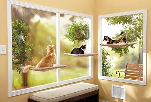 تخت پنجره ای گربه