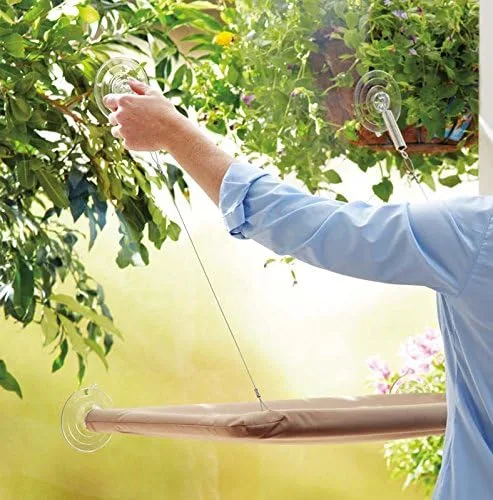 تخت پنجره ای گربه