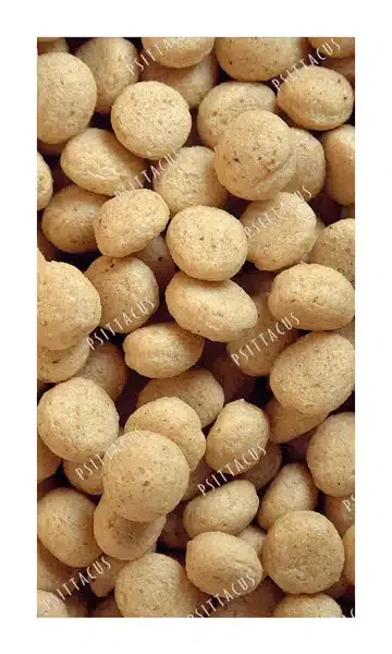 غذای طوطی سانان سیتاکوس مدل های پروتئین وزن 800 گرم