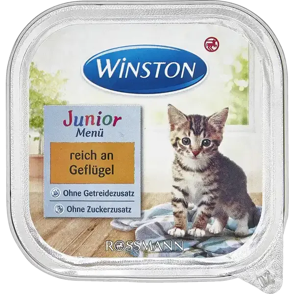 ووم بچه گربه😸 وینستون با طعم مرغ