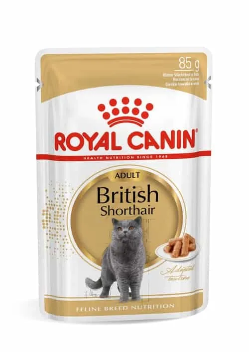پوچ گربه رویال کنین مدل British Shorthair