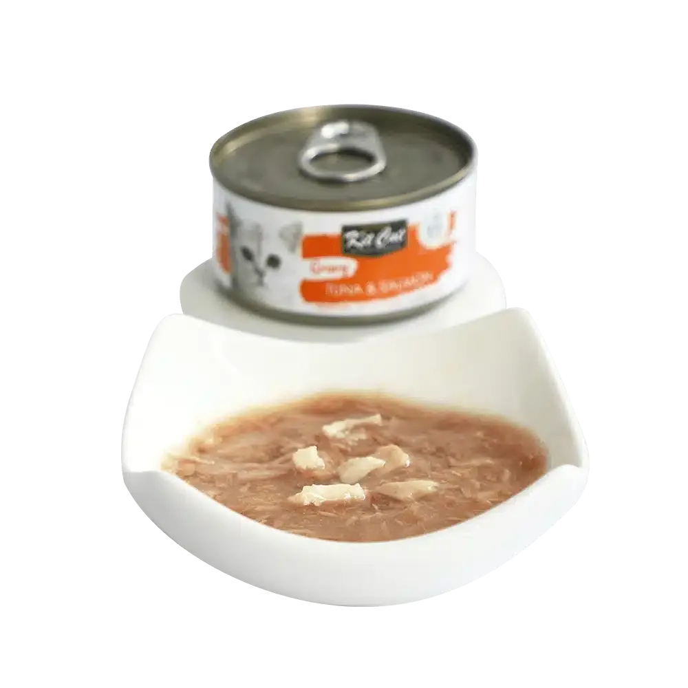 کنسرو گربه کیت کت مدل تن و سالمون در سس وزن 70 گرم