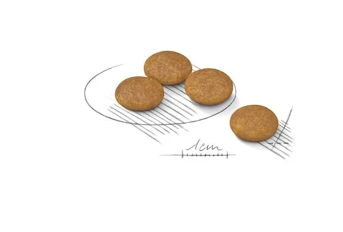 غذای خشک سگ رویال کنین مدل Mini Dermacomfort وزن 3 کیلوگرم