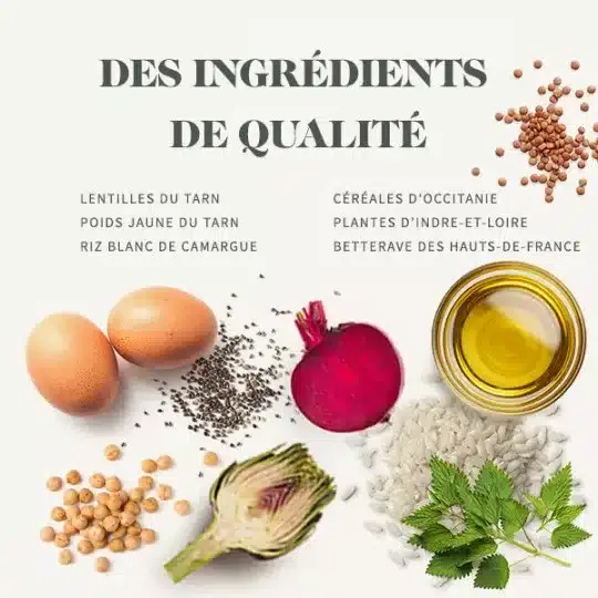غذای خشک بچه گربه بابین با طعم مرغ وزن 8 کیلوگرم