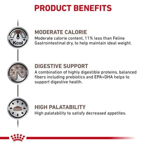 غذای خشک گربه رویال کنین مدل Gastro Moderate Calorie وزن 2 کیلوگرم