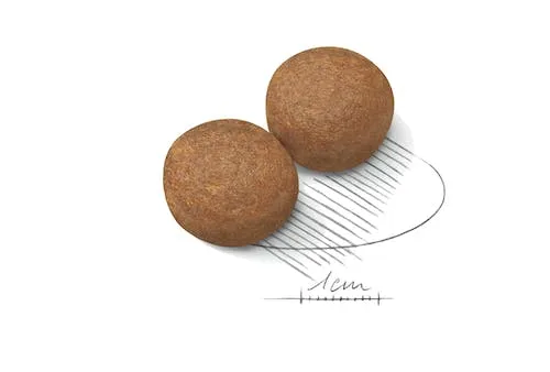 غذای خشک سگ رویال کنین مکسی ادالت (Maxi Adult) بسته 15 کیلوگرمی