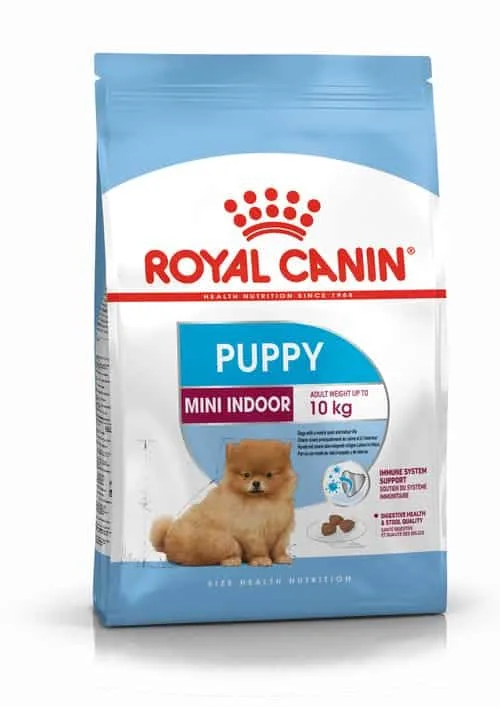 غذای خشک سگ رویال کنین مدل Mini Indoor Puppy وزن 1.5 کیلوگرم