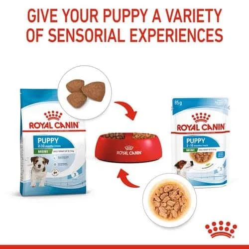 پوچ سگ رویال کنین مدل Mini Puppy بسته 85 گرمی