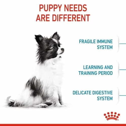 غذای سگ رویال کنین ایکس اسمال پاپی (X-Small Puppy) وزن 1.5 کیلوگرمی