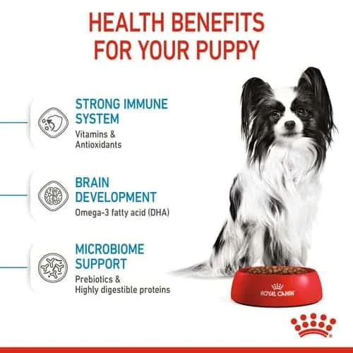 غذای سگ رویال کنین ایکس اسمال پاپی (X-Small Puppy) وزن 1.5 کیلوگرمی - تصویر 3