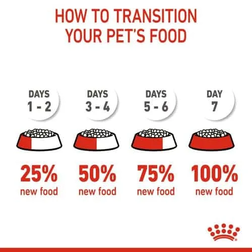 غذای سگ رویال کنین ایکس اسمال پاپی (X-Small Puppy) وزن 1.5 کیلوگرمی - تصویر 5