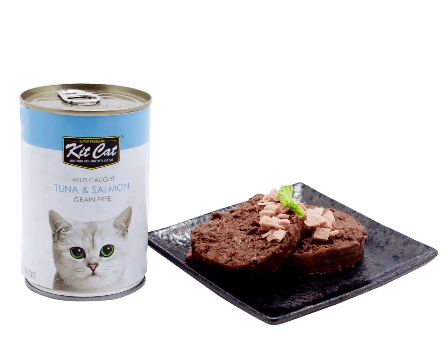 کنسرو گربه کیت کت مدل ماهی تن و سالمون وزن 400 گرم