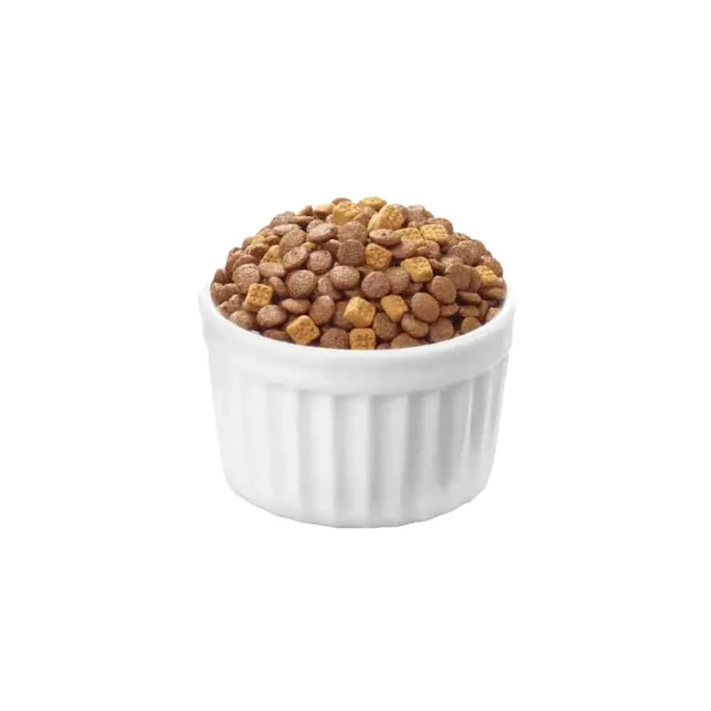 غذای خشک گربه ونپی با طعم ماهی تن