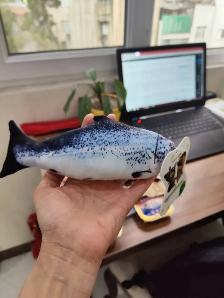 اسباب بازی ماهی پارچه ای مخصوص سگ و گربه