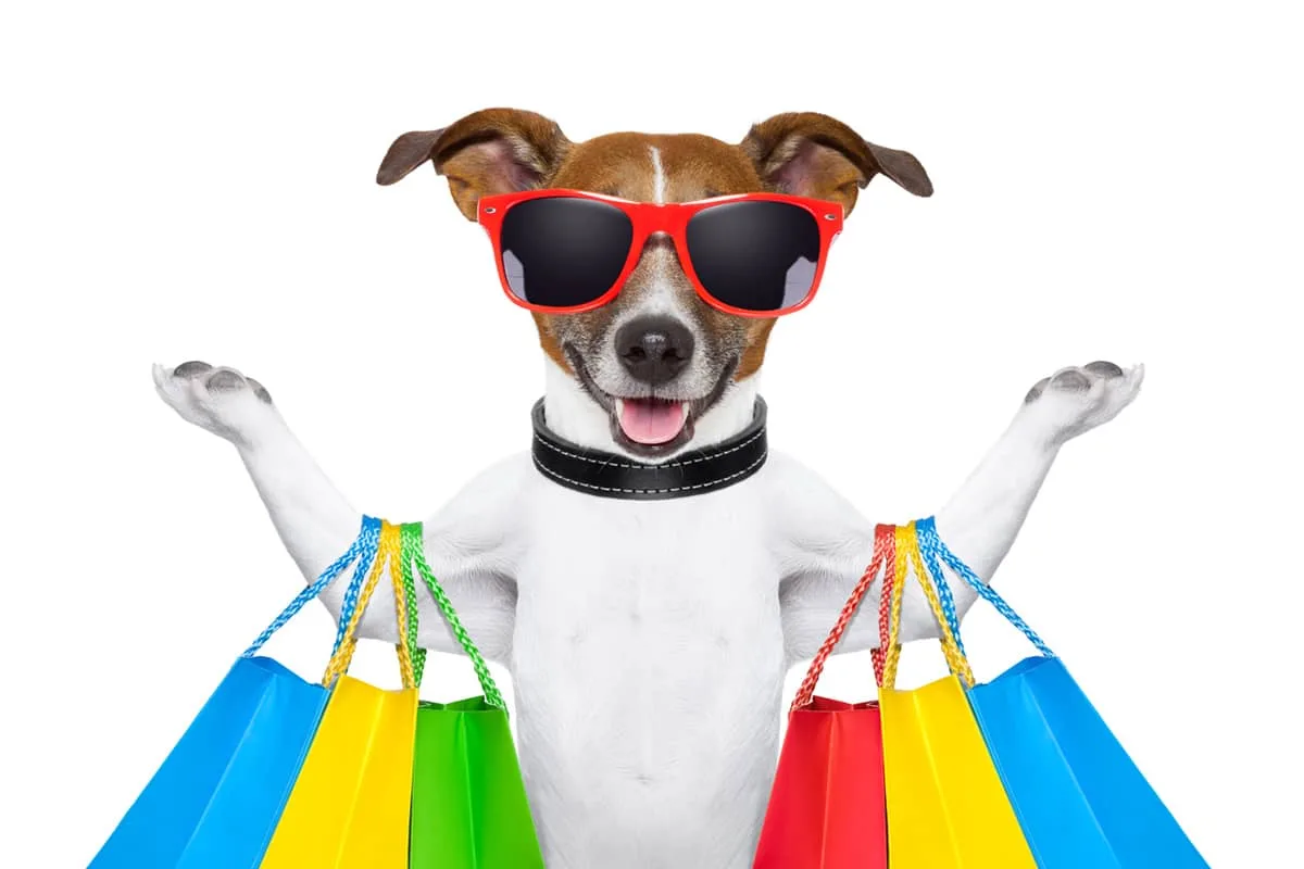 پت شاپ اینترنتی چیست؟!
